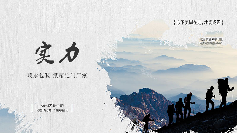公司实力 公司实力